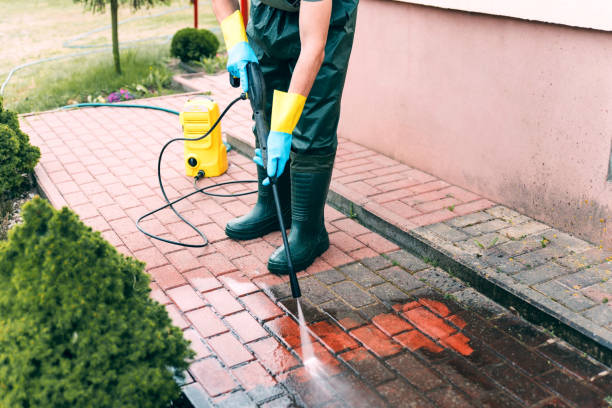 Professional Pressure Washing in Mount Olive, AL